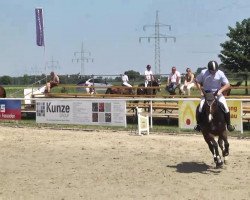 dressage horse Caloubina F (Württemberger, 2007, from Contendro I)
