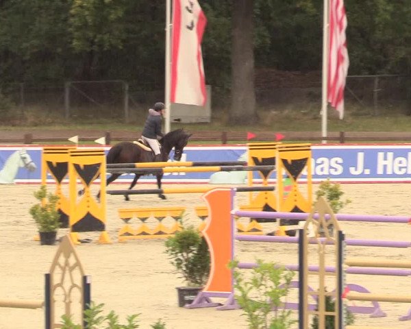 Reitturnier Westergellersen 2020