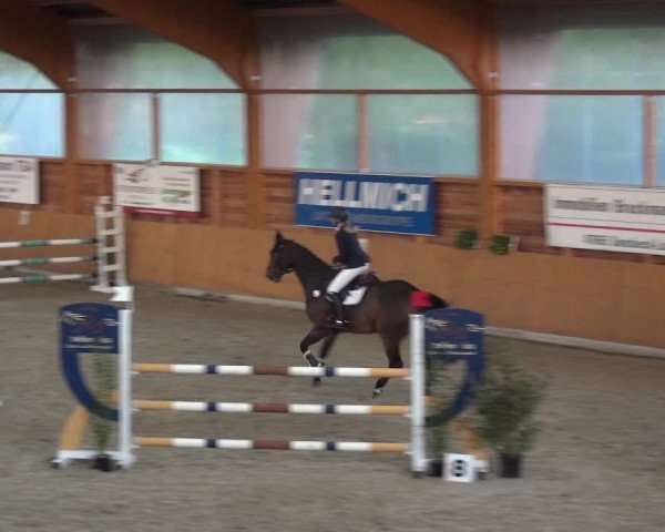 Reitturnier Xanten - Reitanlage Miss 2020
