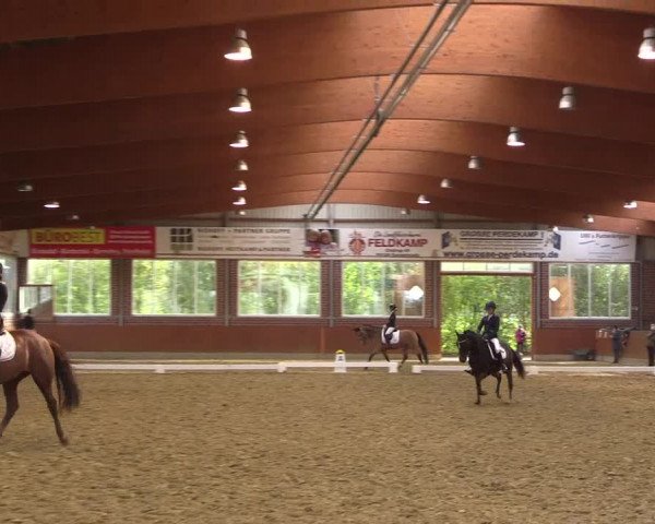 Reitturnier Seppenrade 2020