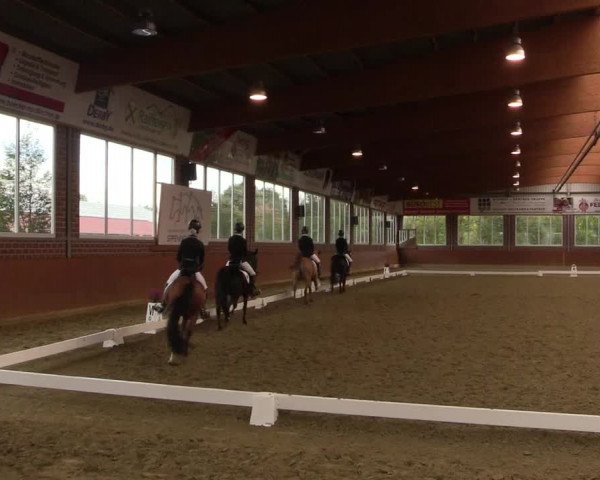 Reitturnier Seppenrade 2020