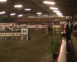Cavallo da salto Woodjak Sent (KWPN (Warmblood olandese), 2003)
