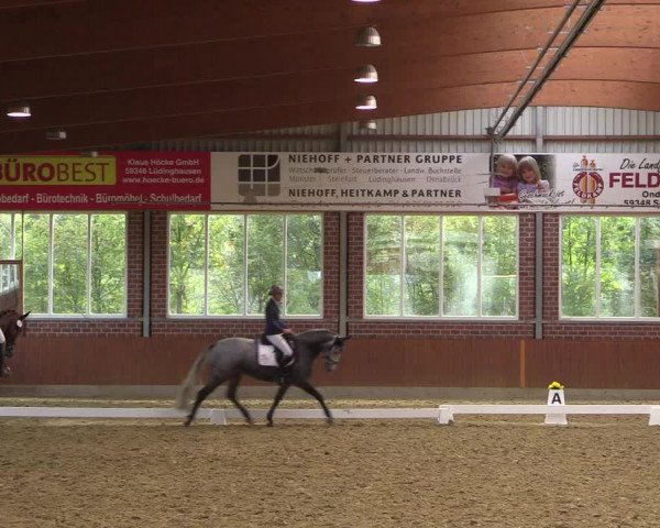 Reitturnier Seppenrade 2020