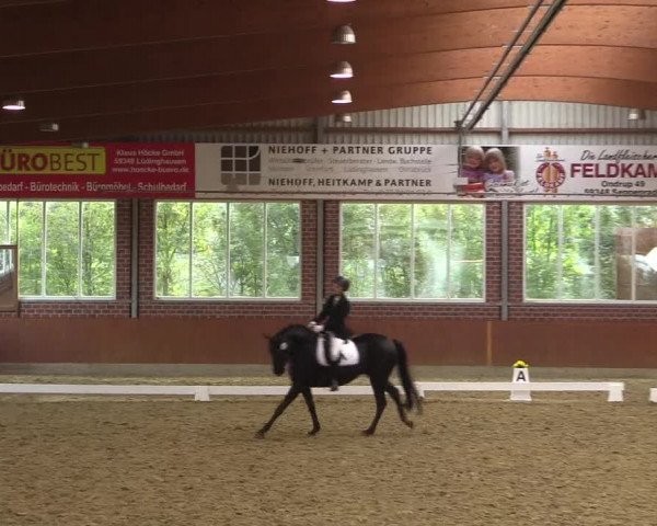 Reitturnier Seppenrade 2020