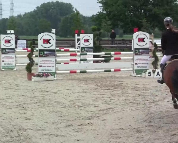 Zuchtstute Best Secret 4 (Deutsches Reitpony, 2007, von Bonfire)