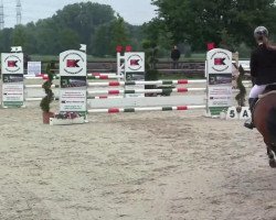 broodmare Best Secret 4 (German Riding Pony, 2007, from Bonfire)