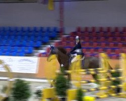 Zuchtstute Zakiya 3 (KWPN (Niederländisches Warmblut), 2004, von Tangelo van de Zuuthoeve)