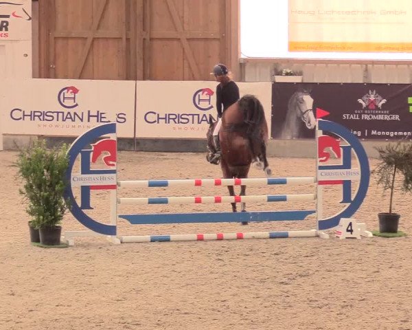 Reitturnier Negernbötel, 1. Nordic Jumping event 2020/2021
