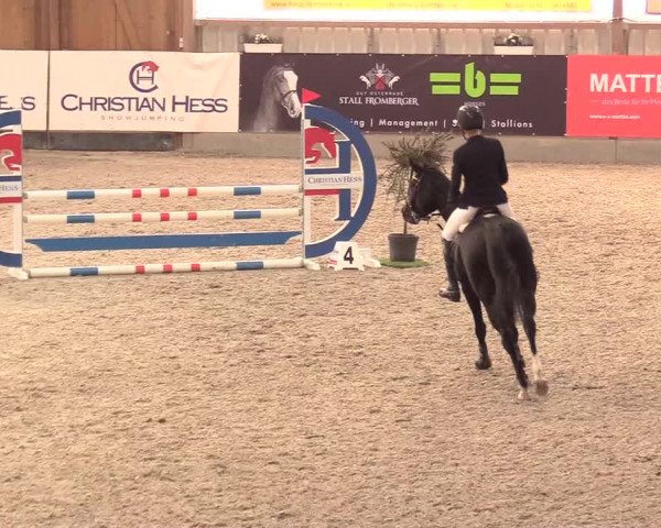 Reitturnier Negernbötel, 1. Nordic Jumping event 2020/2021
