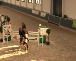 jumper Frontera 7 (Romanian Warmblood, 2005)