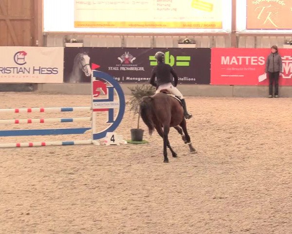 Reitturnier Negernbötel, 1. Nordic Jumping event 2020/2021
