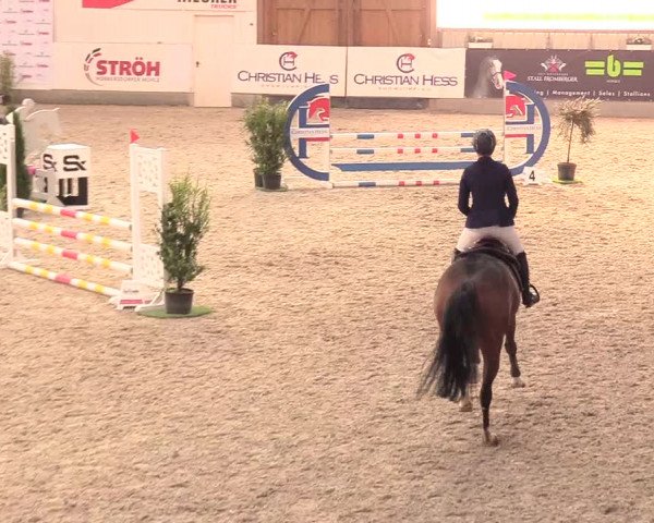Reitturnier Negernbötel, 1. Nordic Jumping event 2020/2021