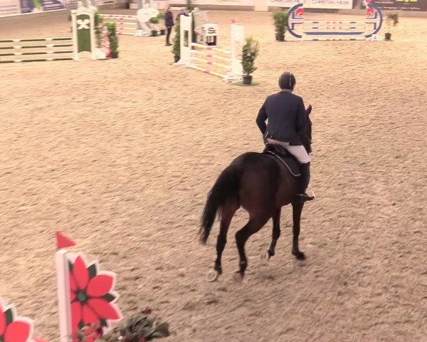 Reitturnier Negernbötel, 1. Nordic Jumping event 2020/2021