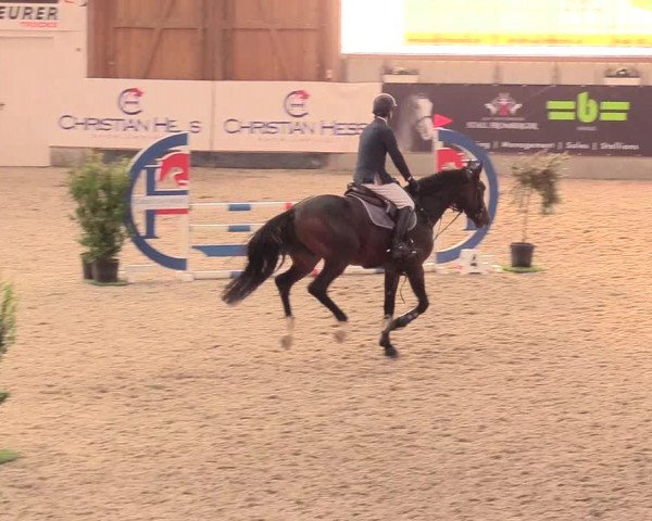 Reitturnier Negernbötel, 1. Nordic Jumping event 2020/2021