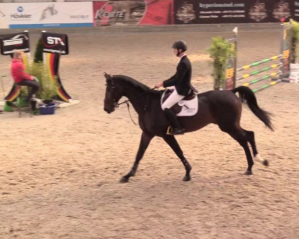 Reitturnier Negernbötel, 1. Nordic Jumping event 2020/2021