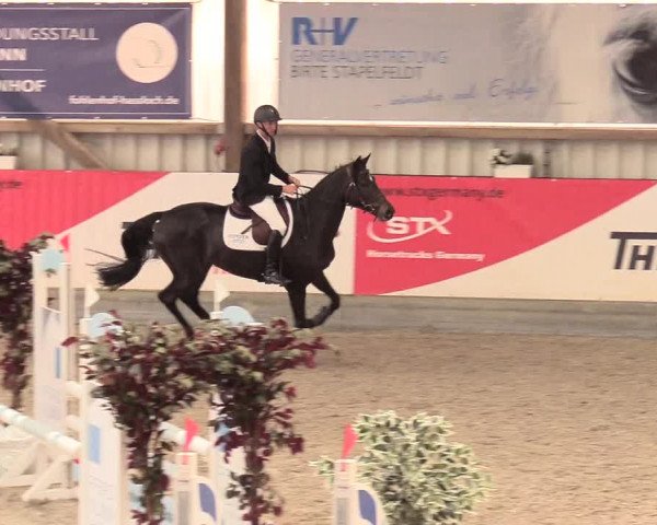 Reitturnier Negernbötel, 1. Nordic Jumping event 2020/2021