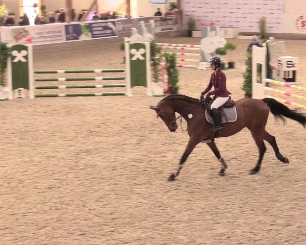 Reitturnier Negernbötel, 1. Nordic Jumping event 2020/2021