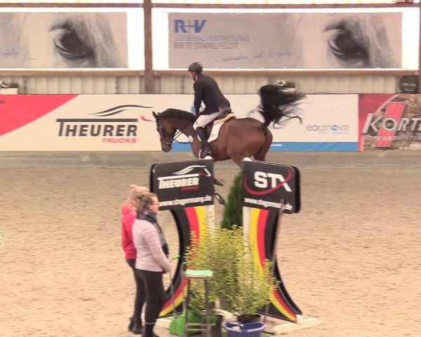 Reitturnier Negernbötel, 1. Nordic Jumping event 2020/2021