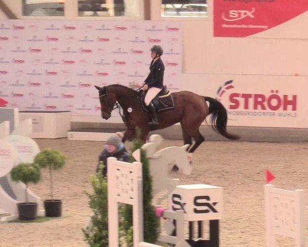 Reitturnier Negernbötel, 1. Nordic Jumping event 2020/2021