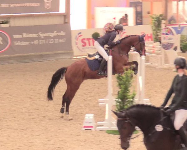 Reitturnier Negernbötel, 1. Nordic Jumping event 2020/2021