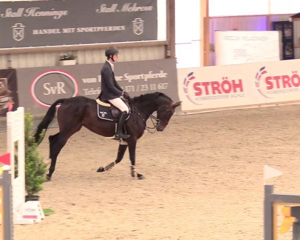 Reitturnier Negernbötel, 1. Nordic Jumping event 2020/2021