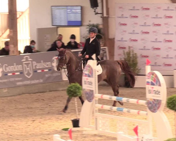 Reitturnier Negernbötel, 1. Nordic Jumping event 2020/2021