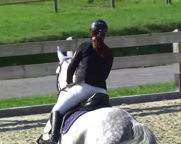 Jumper Hollywood 47 (unknown, 2007)