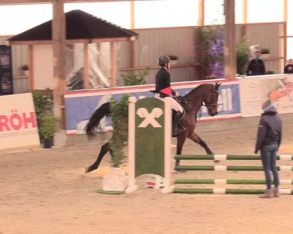 Reitturnier Negernbötel, 1. Nordic Jumping event 2020/2021