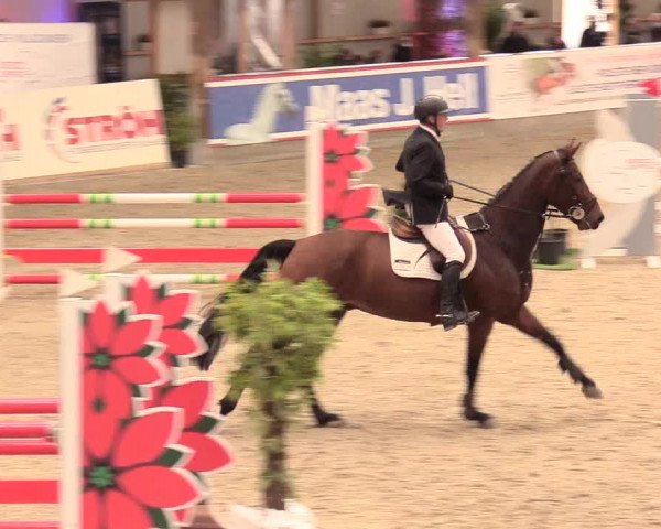 Reitturnier Negernbötel, 1. Nordic Jumping event 2020/2021