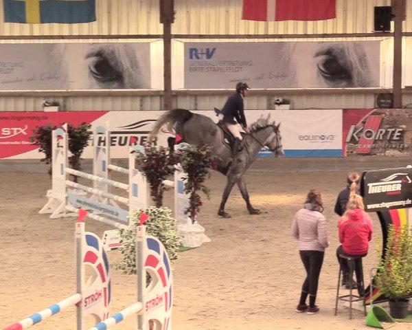 Reitturnier Negernbötel, 1. Nordic Jumping event 2020/2021
