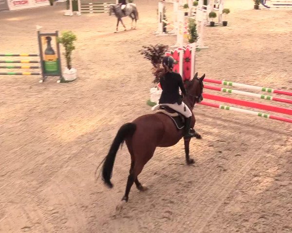 Reitturnier Negernbötel, 1. Nordic Jumping event 2020/2021