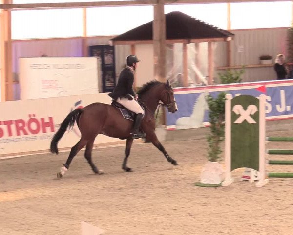 Reitturnier Negernbötel, 1. Nordic Jumping event 2020/2021