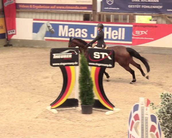 Reitturnier Negernbötel, 1. Nordic Jumping event 2020/2021