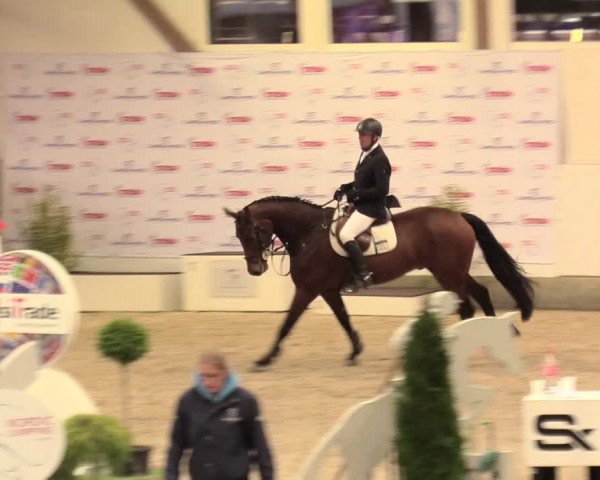 Reitturnier Negernbötel, 1. Nordic Jumping event 2020/2021