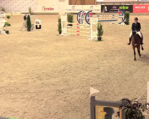 Reitturnier Negernbötel, 1. Nordic Jumping event 2020/2021