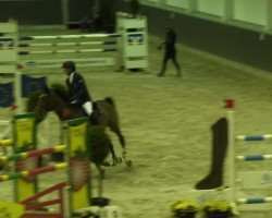 Pferd Couleur (unbekannt, 0000)