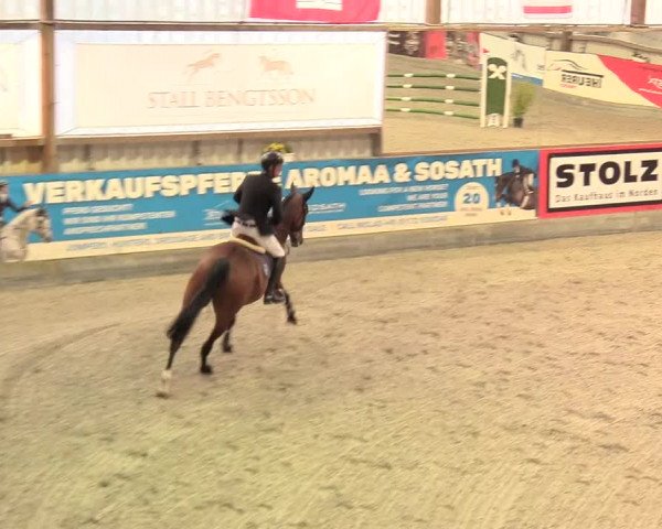 Reitturnier Negernbötel, 1. Nordic Jumping event 2020/2021
