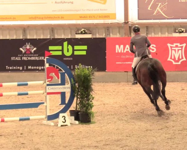 Reitturnier Negernbötel, 1. Nordic Jumping event 2020/2021