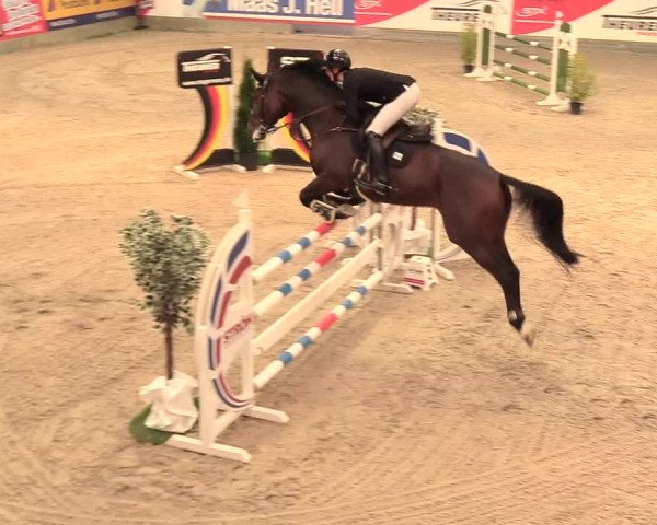 Reitturnier Negernbötel, 1. Nordic Jumping event 2020/2021