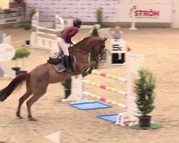 Reitturnier Negernbötel, 1. Nordic Jumping event 2020/2021