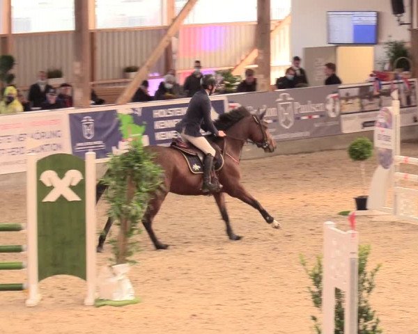 Reitturnier Negernbötel, 1. Nordic Jumping event 2020/2021