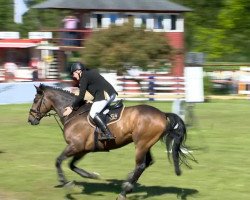 jumper United 57 (KWPN (Royal Dutch Sporthorse), 2008, from Utah)