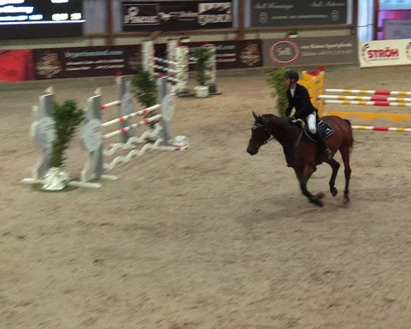 Reitturnier Negernbötel, 1. Nordic Jumping event 2020/2021