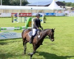 jumper Bailey's Baloubet (Mecklenburg, 2009, from Baloubrie)