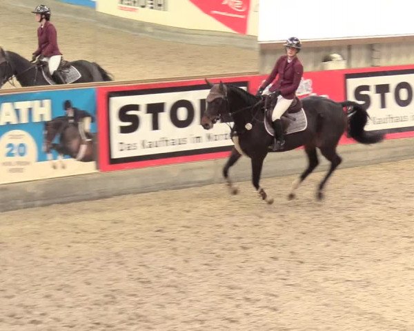 Reitturnier Negernbötel, 1. Nordic Jumping event 2020/2021