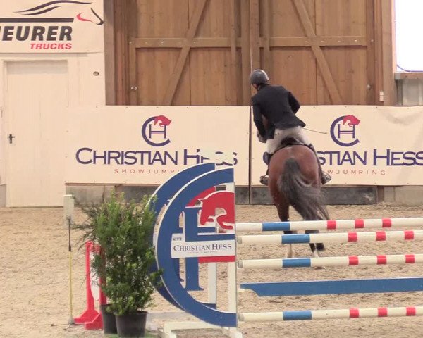 Reitturnier Negernbötel, 1. Nordic Jumping event 2020/2021