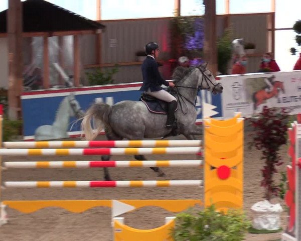Reitturnier Negernbötel, 1. Nordic Jumping event 2020/2021