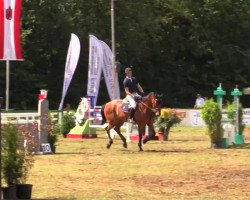 jumper Lacardo (Holsteiner, 2008, from Landos)