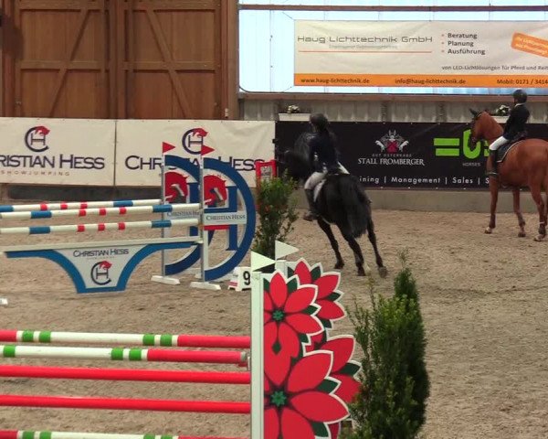 Reitturnier Negernbötel, 1. Nordic Jumping event 2020/2021