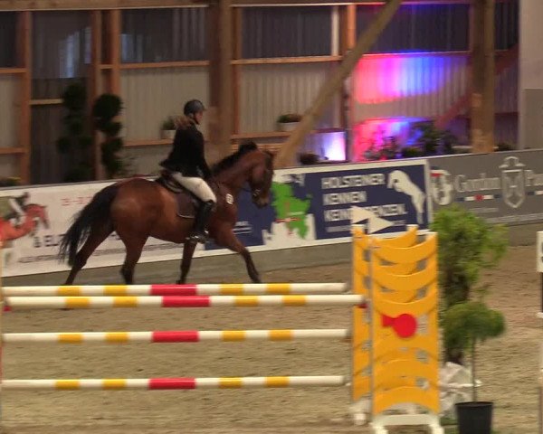 Reitturnier Negernbötel, 1. Nordic Jumping event 2020/2021